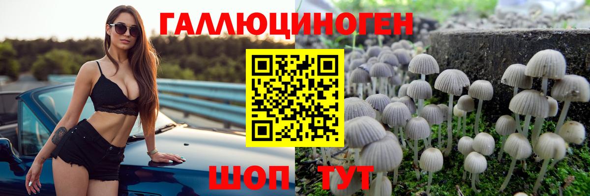 Галлюциногенные грибы мицелий Кунгур