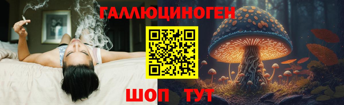 Кунгур  Галлюциногенные грибы Cubensis  Вход с VPN 